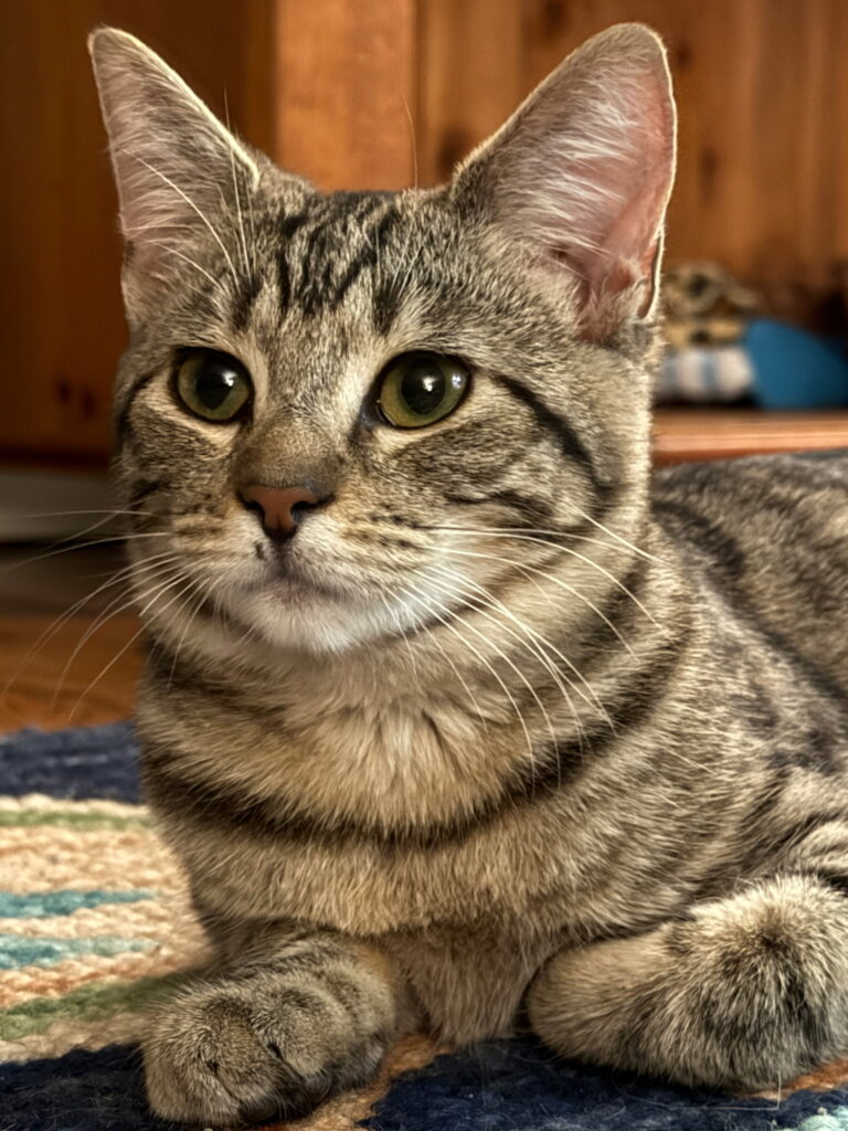 8642045243543947056 2