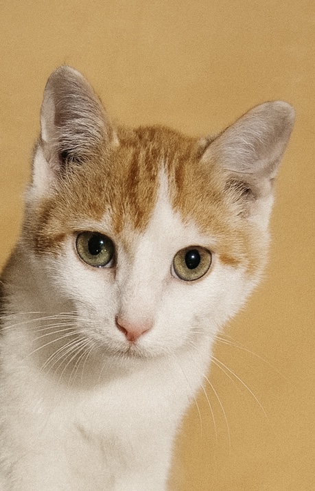 ChatGPT Image Dec 5, 2025 at 10_42_30 AM