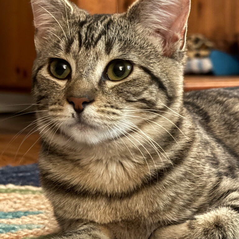 8642045243543947056 2