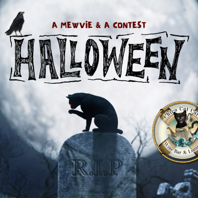 Black and White Dark Halloween Cats Party Facebook Post-2