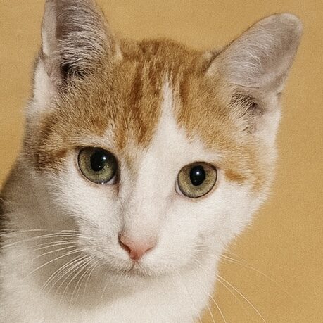 ChatGPT Image Dec 5, 2025 at 10_42_30 AM