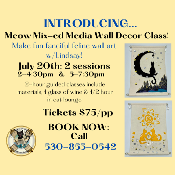 Meow Mix-ed Media Wall Decor Class-2