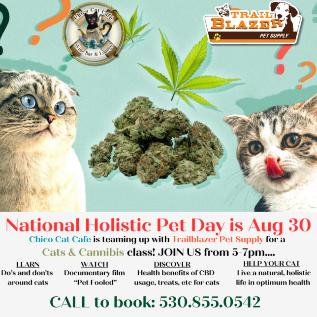 Natl Holistic Pet Day Facebook Post-3