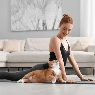 cat yoga 1