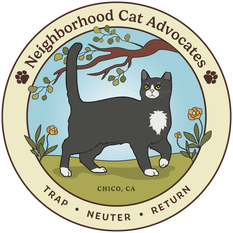 cat-advocate-logo-transparent-01